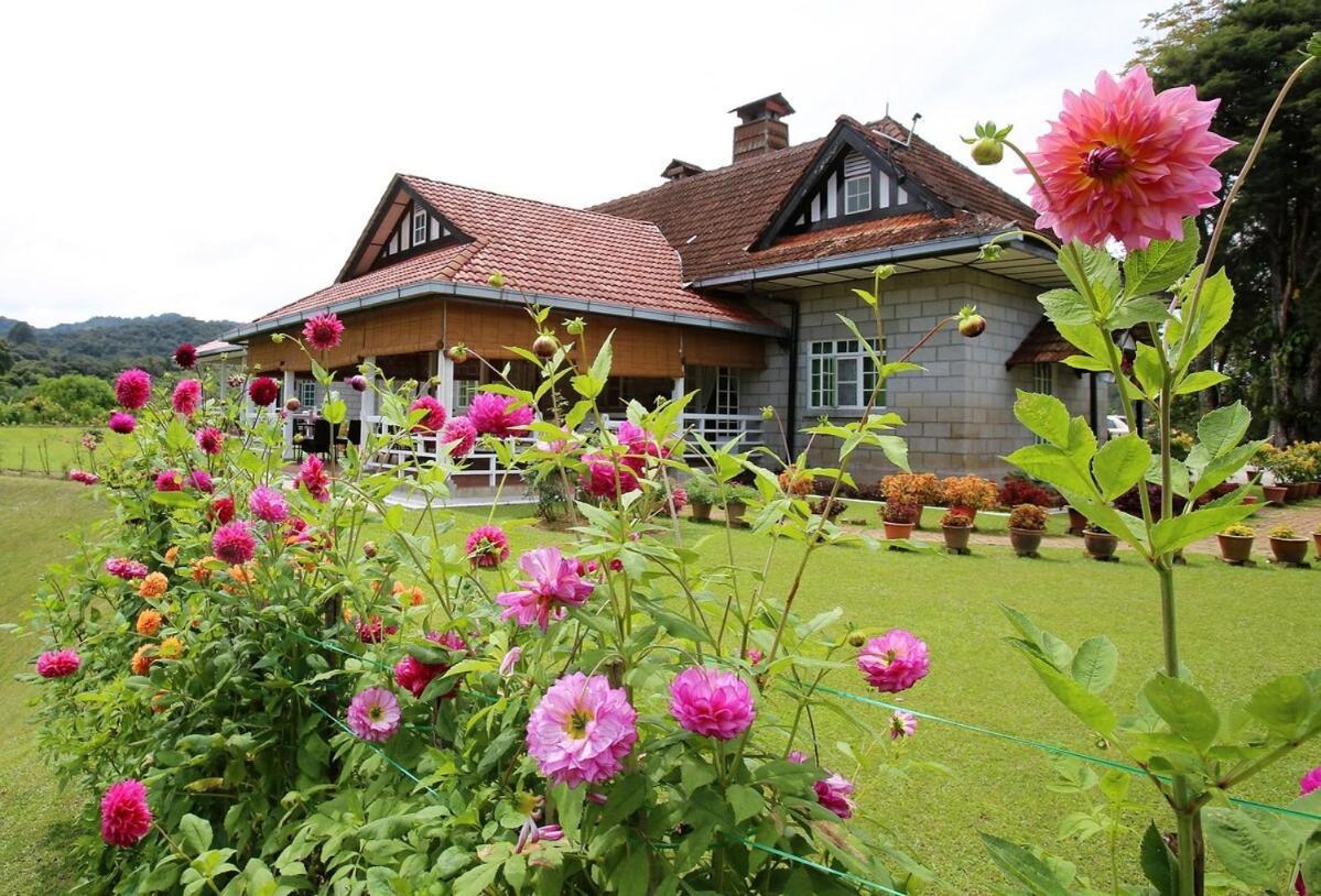 Bukit Lowick Bungalow Tanah Rata Ngoại thất bức ảnh