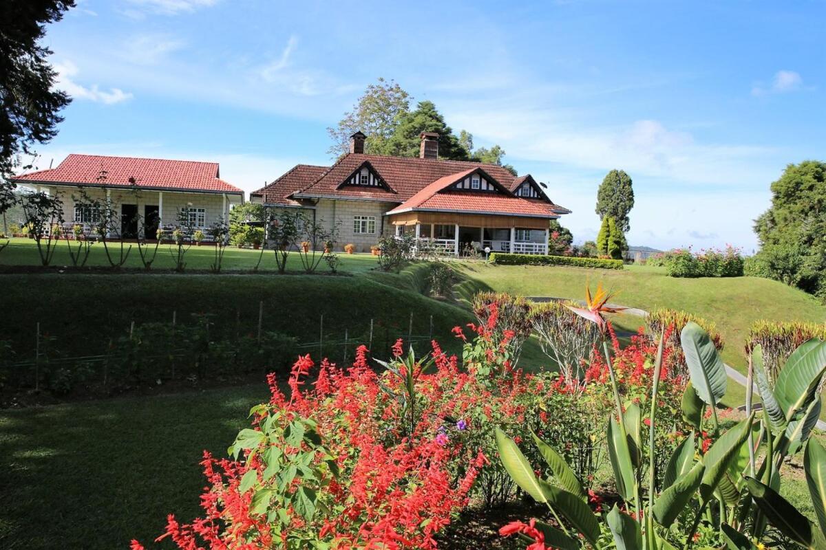 Bukit Lowick Bungalow Tanah Rata Ngoại thất bức ảnh